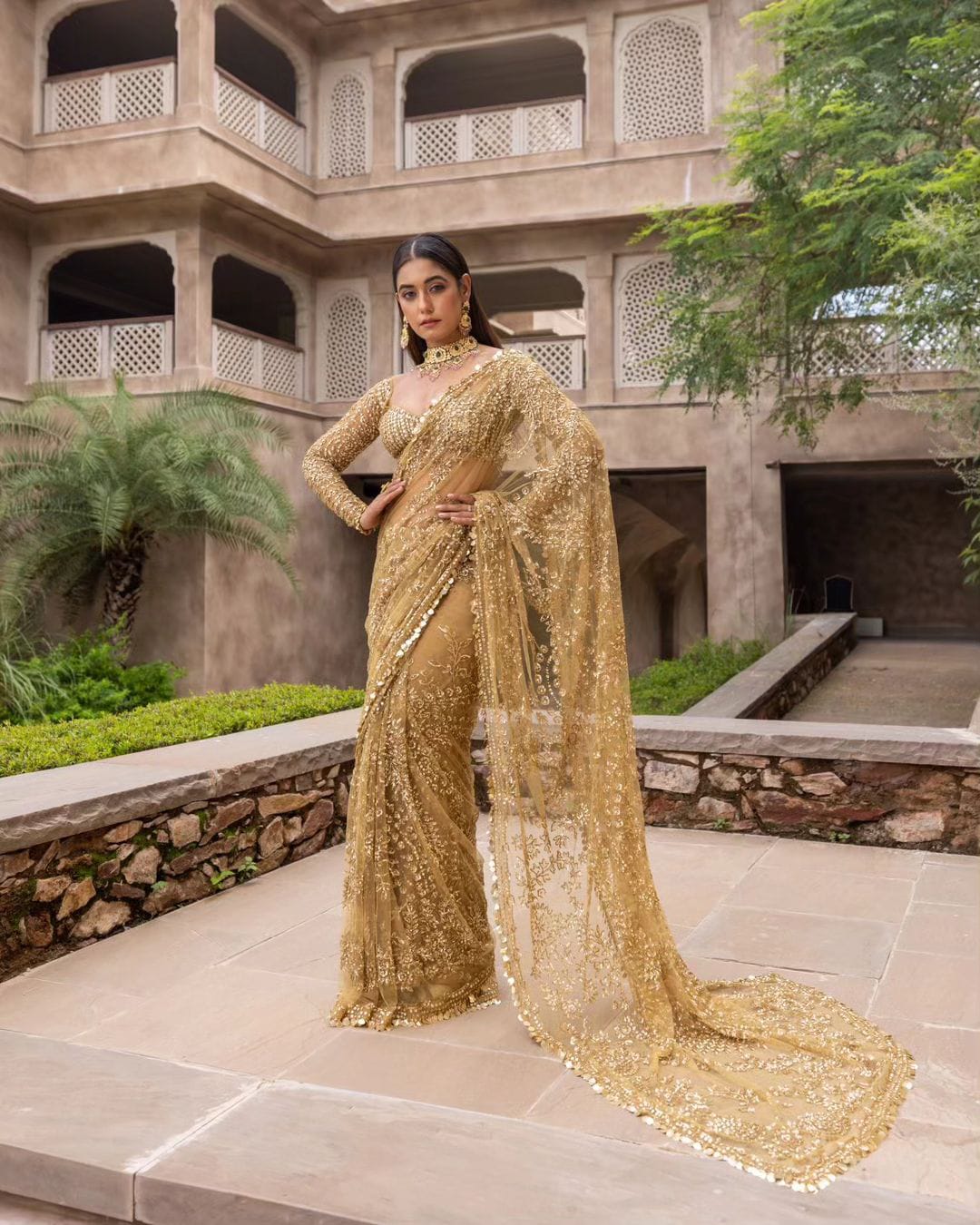 Party Wear Beige Color Net Sequence Work Saree
