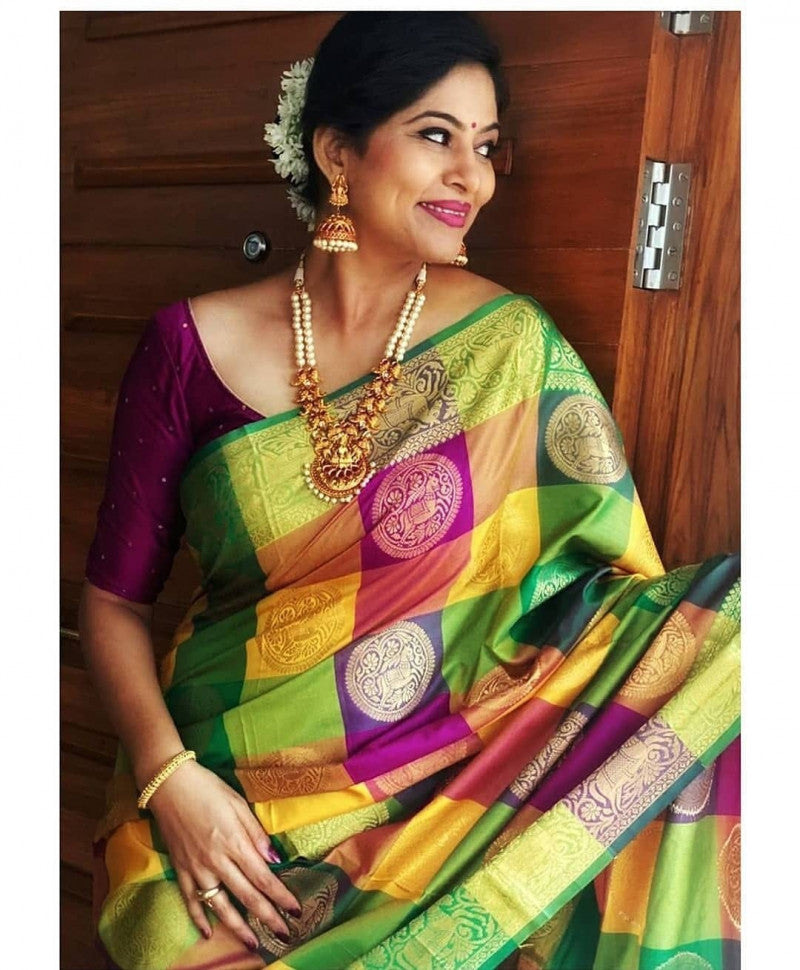 Multi Color Kanchipuram Silk Saree