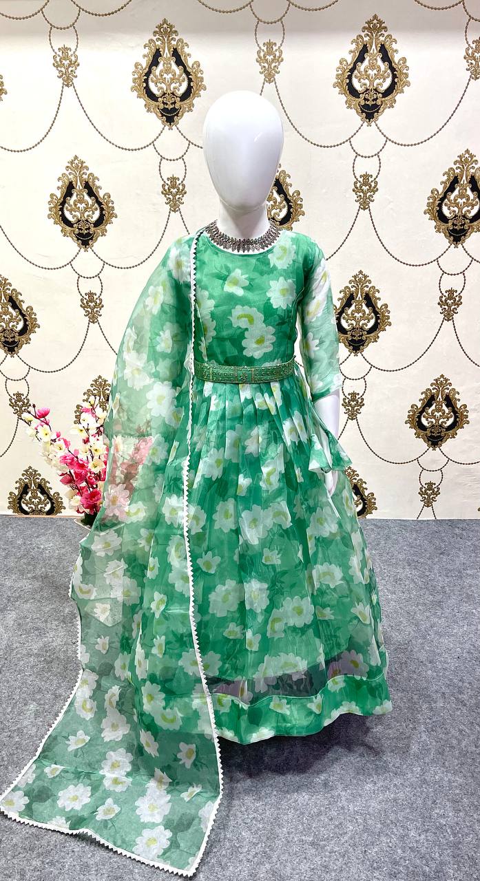 Girls Wear Kids Green Color Organza Silk Gown